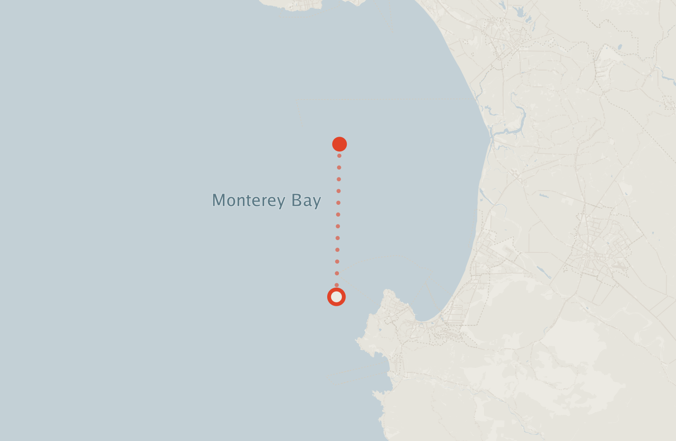 Activity map — real sighting points on an OpenStreetMap basemap