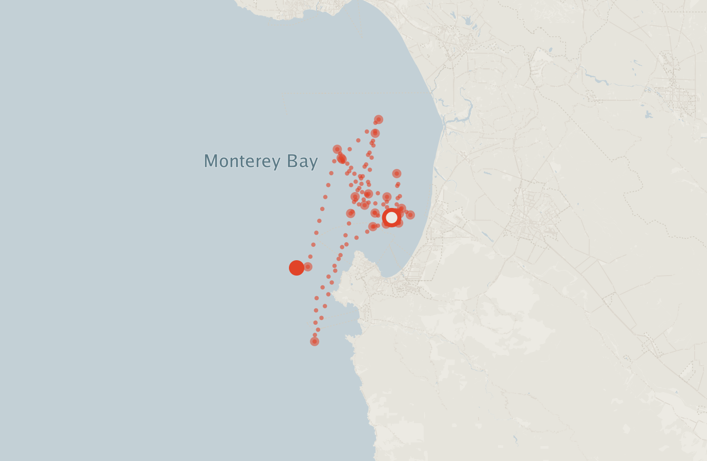 Activity map — real sighting points on an OpenStreetMap basemap