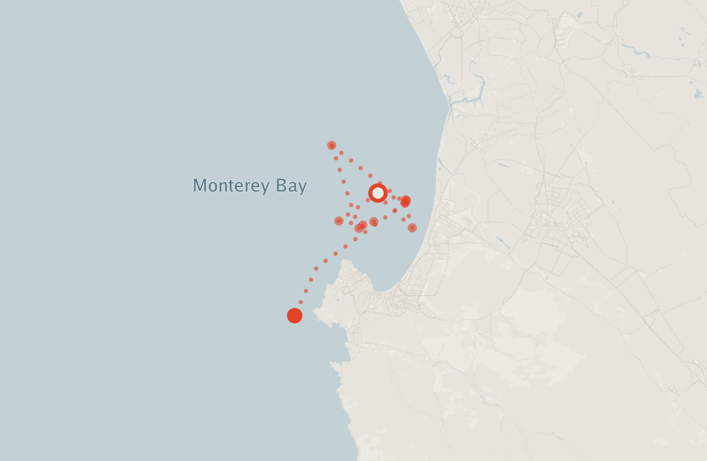 Activity map — real sighting points on an OpenStreetMap basemap