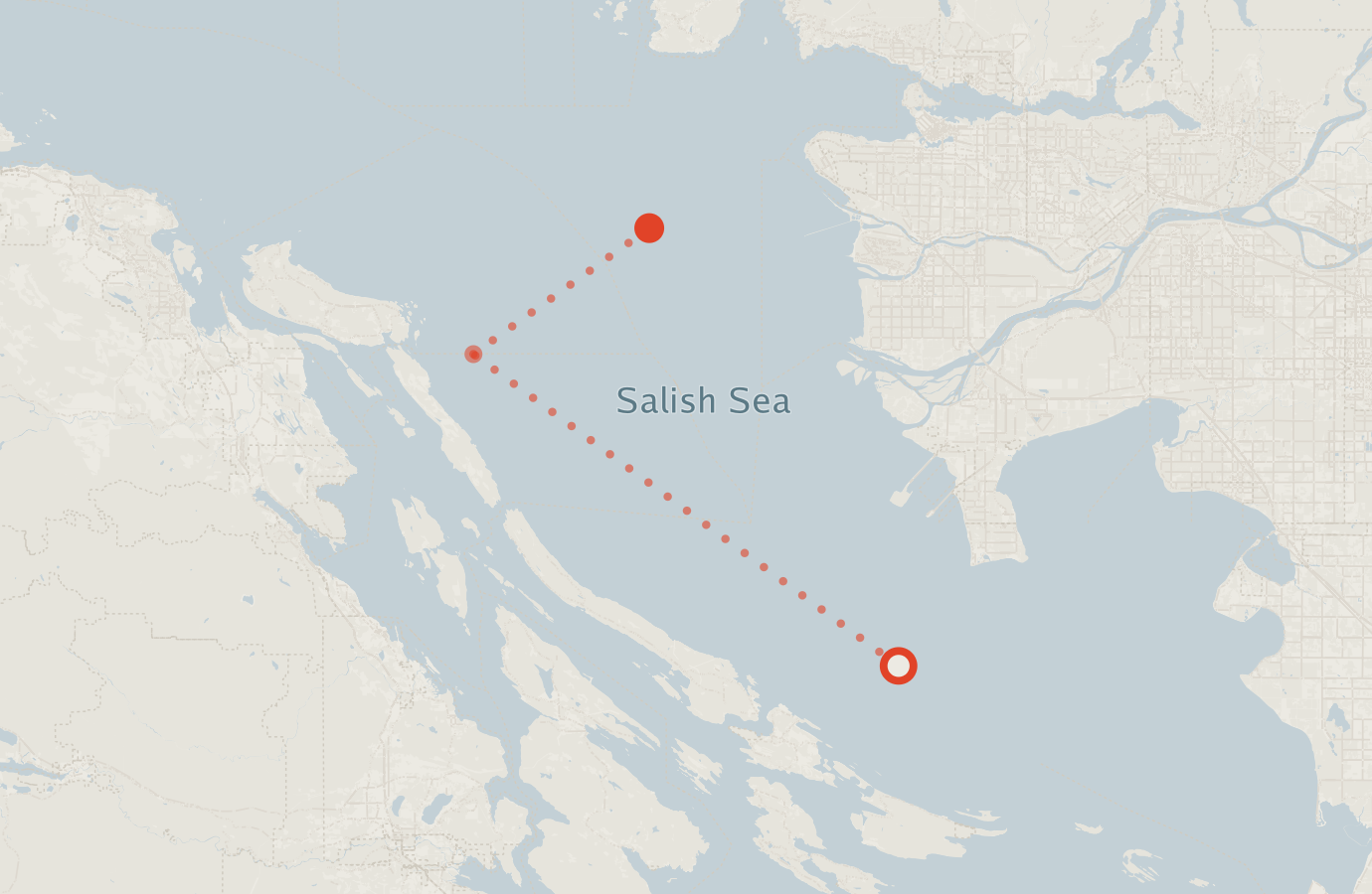 Activity map — real sighting points on an OpenStreetMap basemap