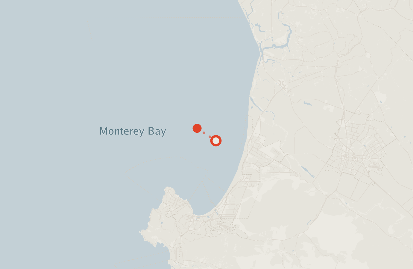 Activity map — real sighting points on an OpenStreetMap basemap
