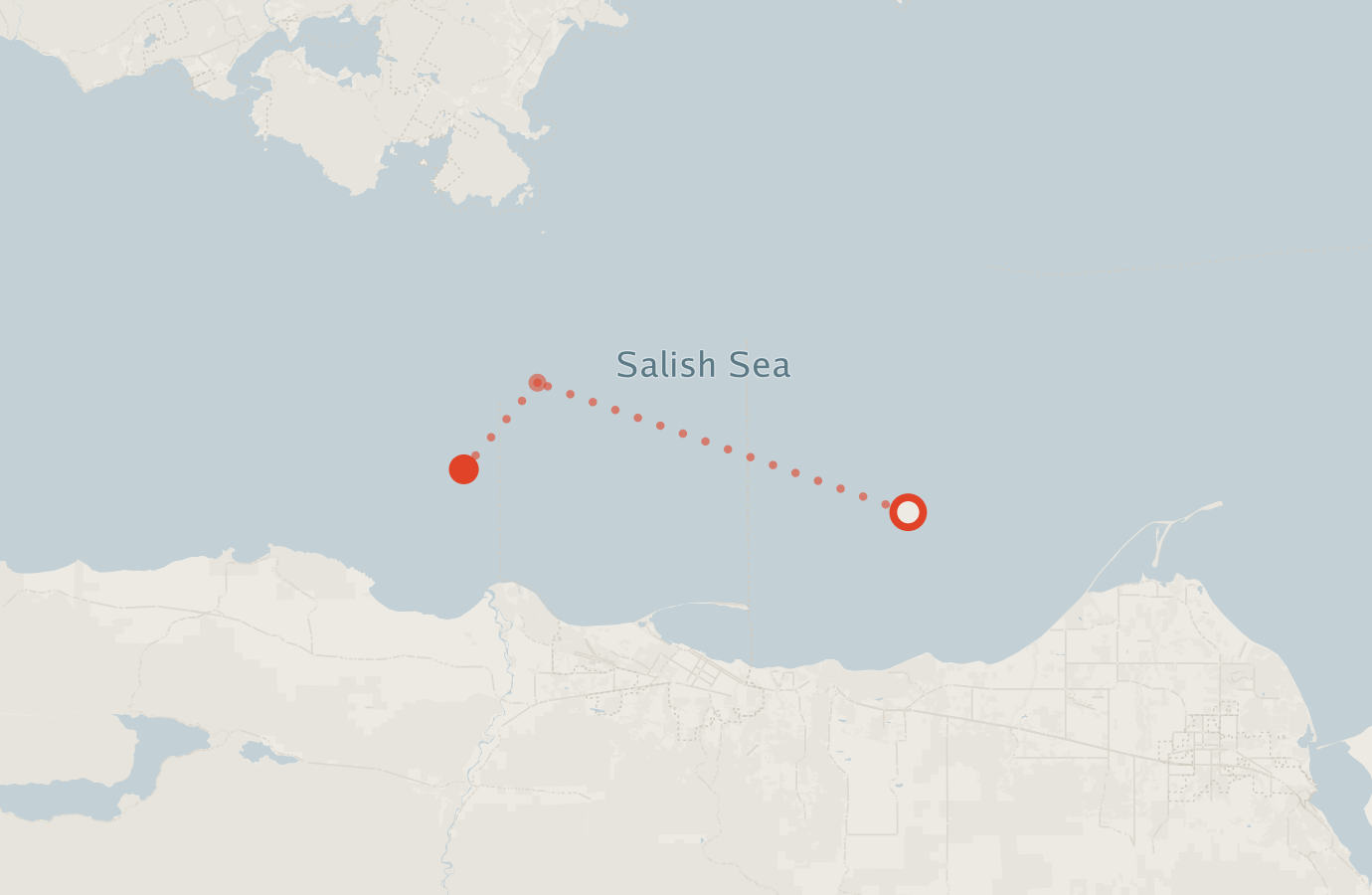 Activity map — real sighting points on an OpenStreetMap basemap