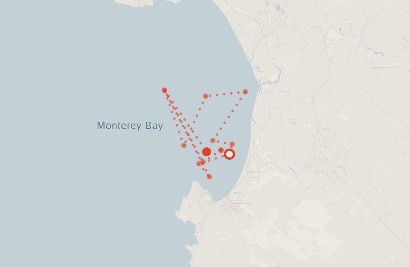 Activity map — real sighting points on an OpenStreetMap basemap