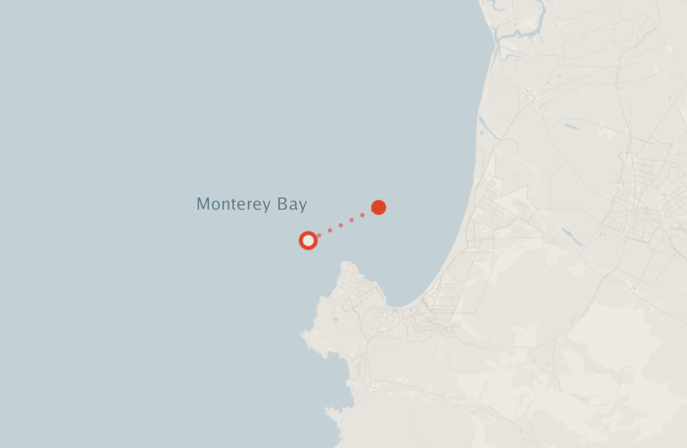Activity map — real sighting points on an OpenStreetMap basemap