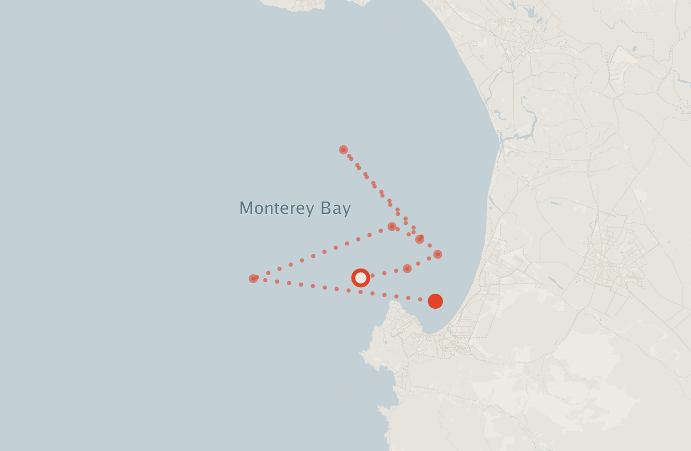Activity map — real sighting points on an OpenStreetMap basemap