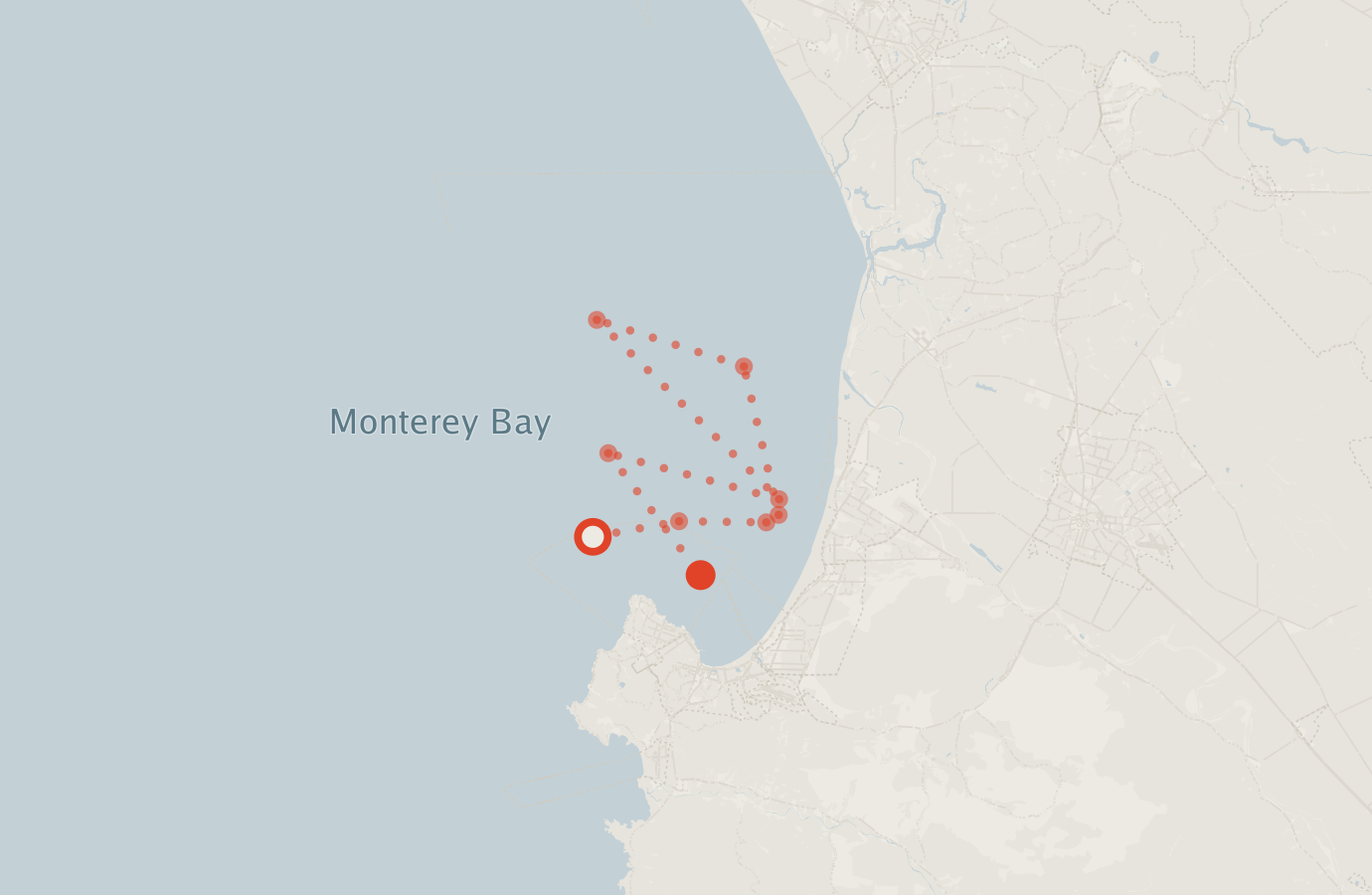 Activity map — real sighting points on an OpenStreetMap basemap