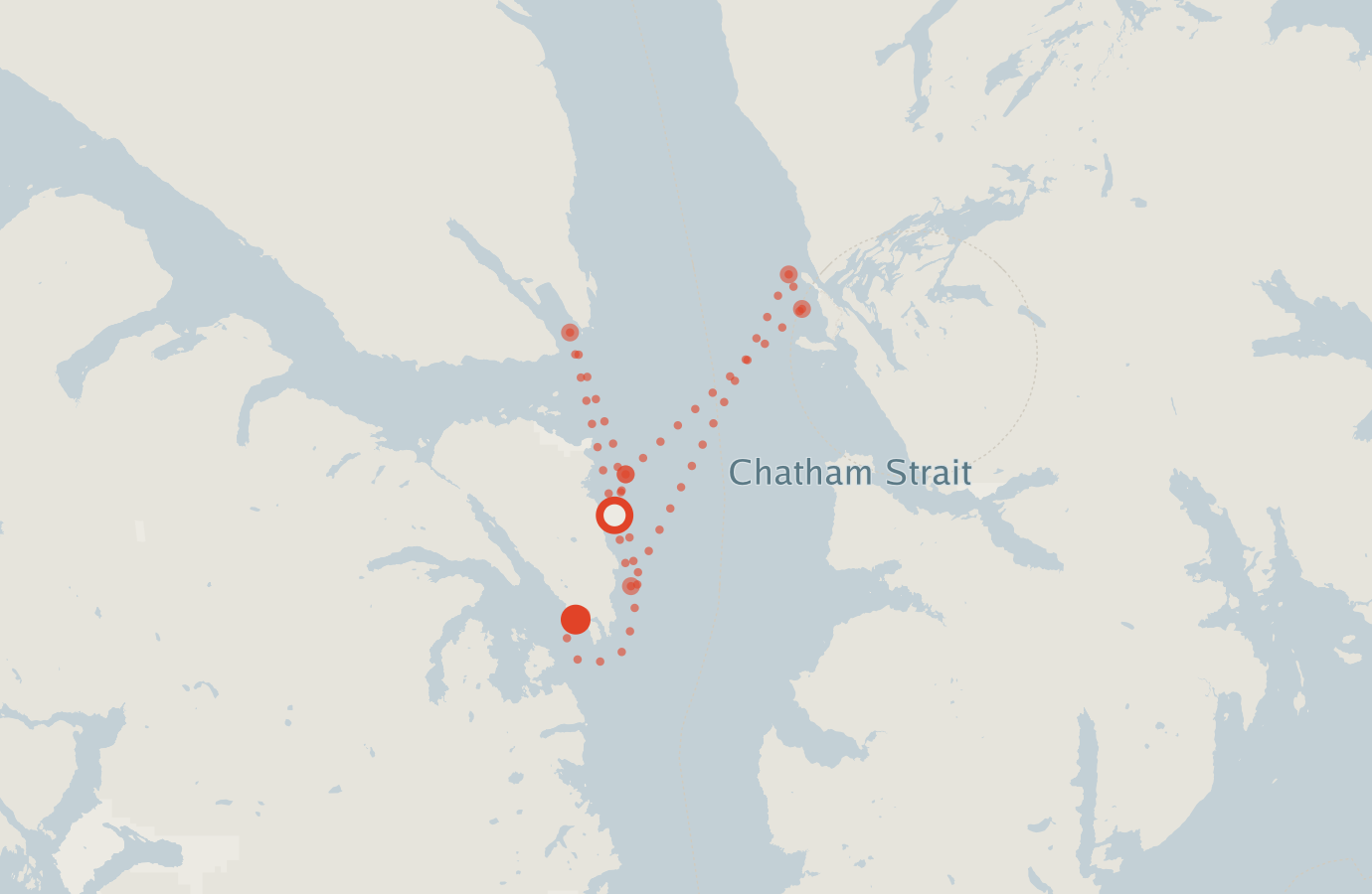 Activity map — real sighting points on an OpenStreetMap basemap