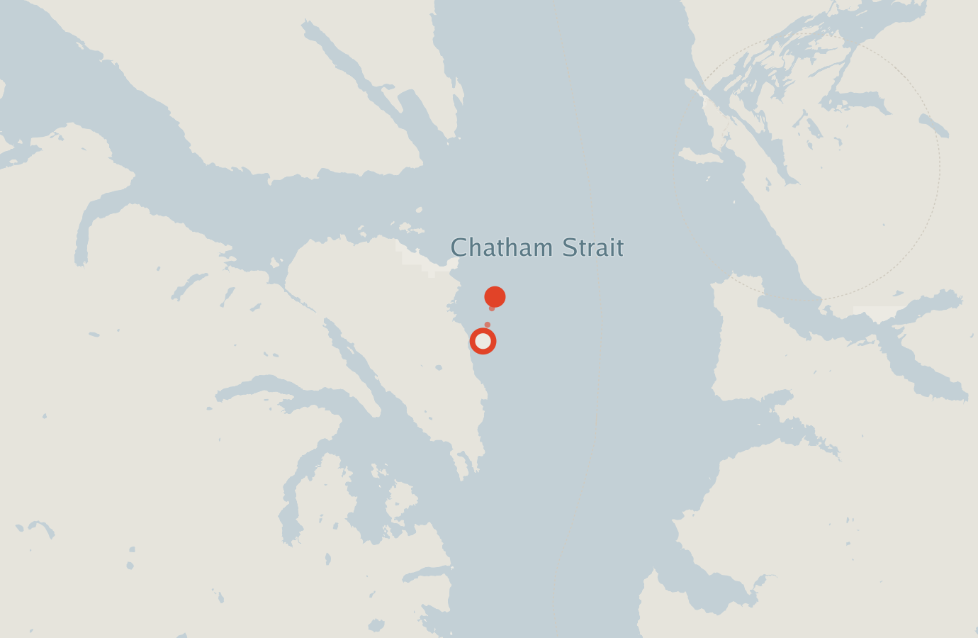 Activity map — real sighting points on an OpenStreetMap basemap