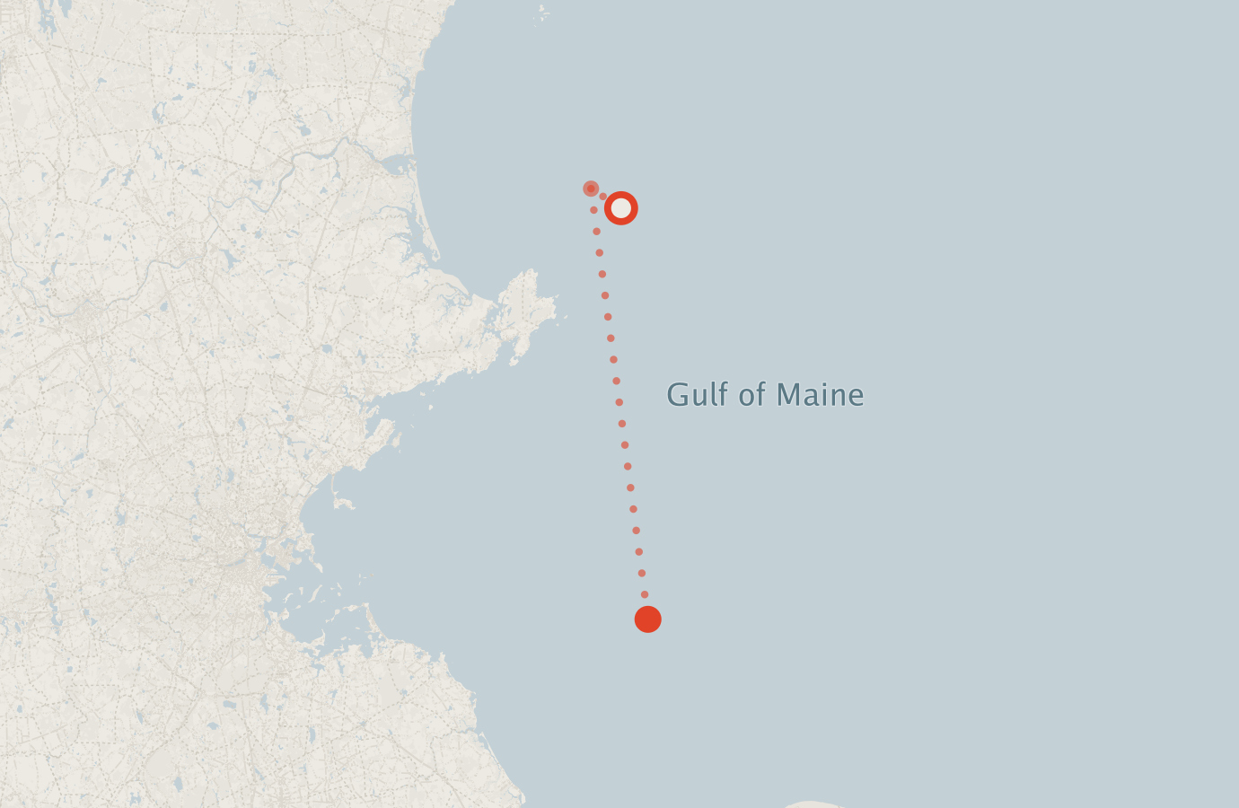 Activity map — real sighting points on an OpenStreetMap basemap