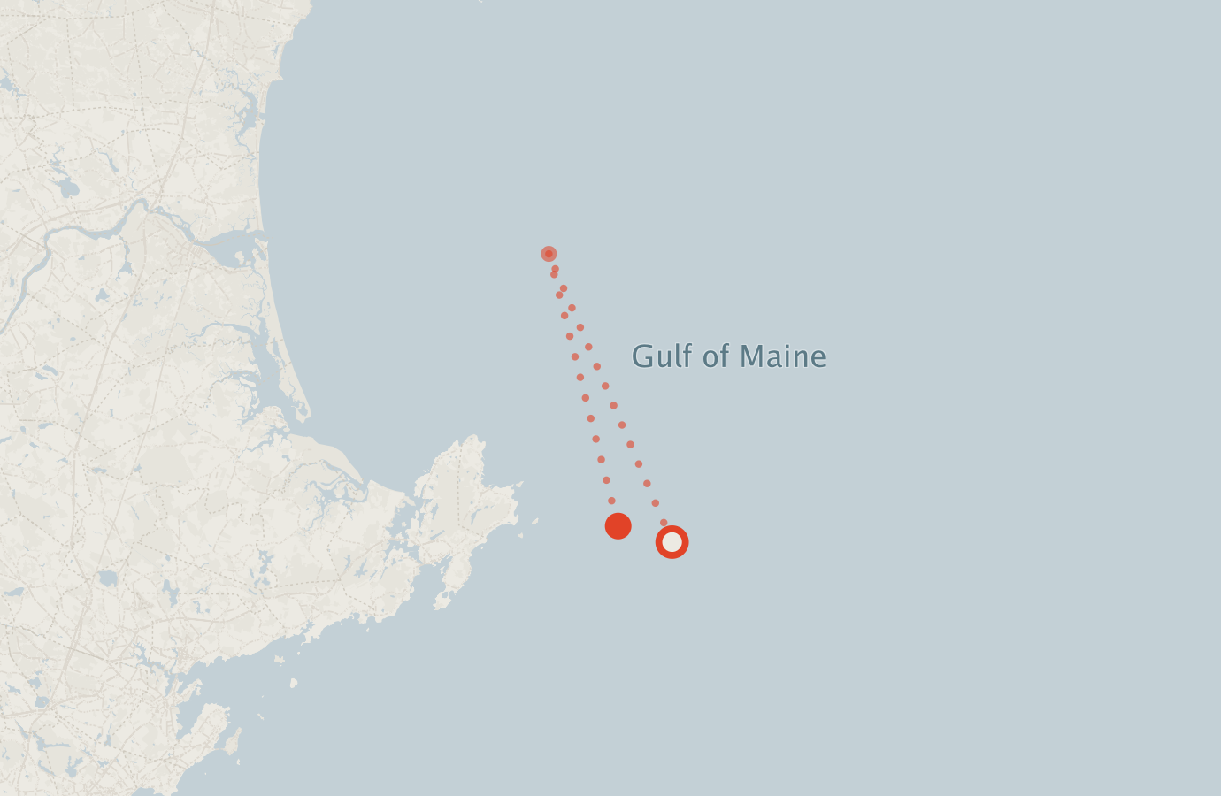 Activity map — real sighting points on an OpenStreetMap basemap