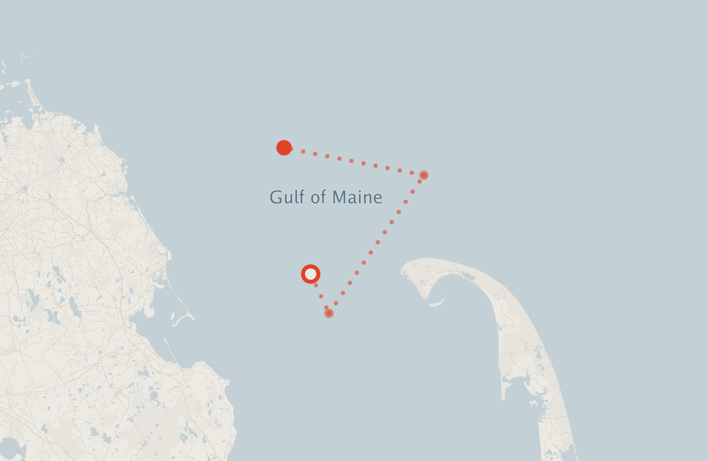 Activity map — real sighting points on an OpenStreetMap basemap