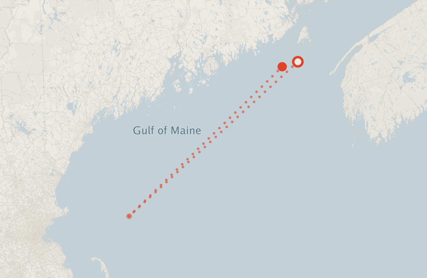 Activity map — real sighting points on an OpenStreetMap basemap
