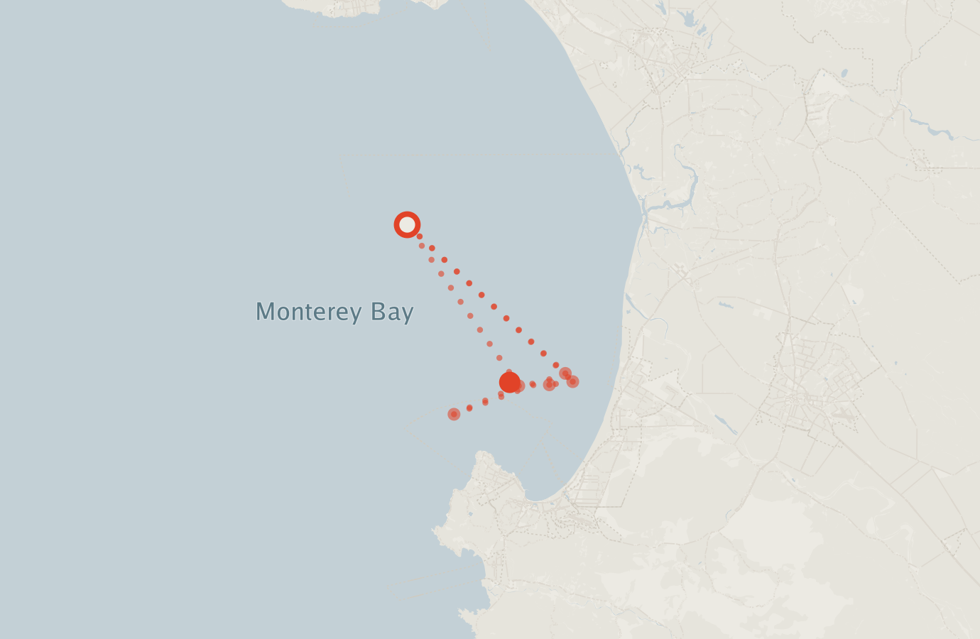 Activity map — real sighting points on an OpenStreetMap basemap