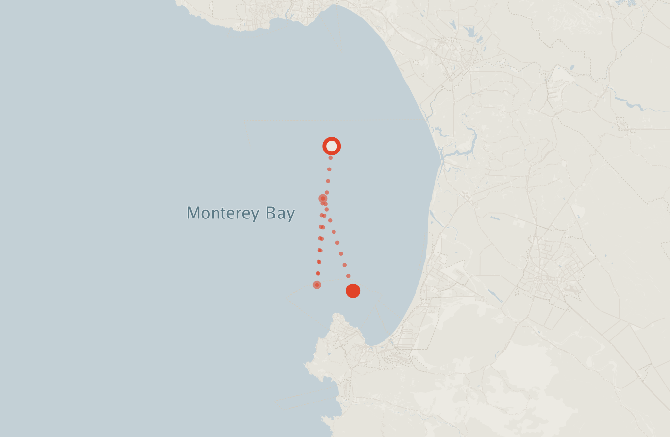 Activity map — real sighting points on an OpenStreetMap basemap