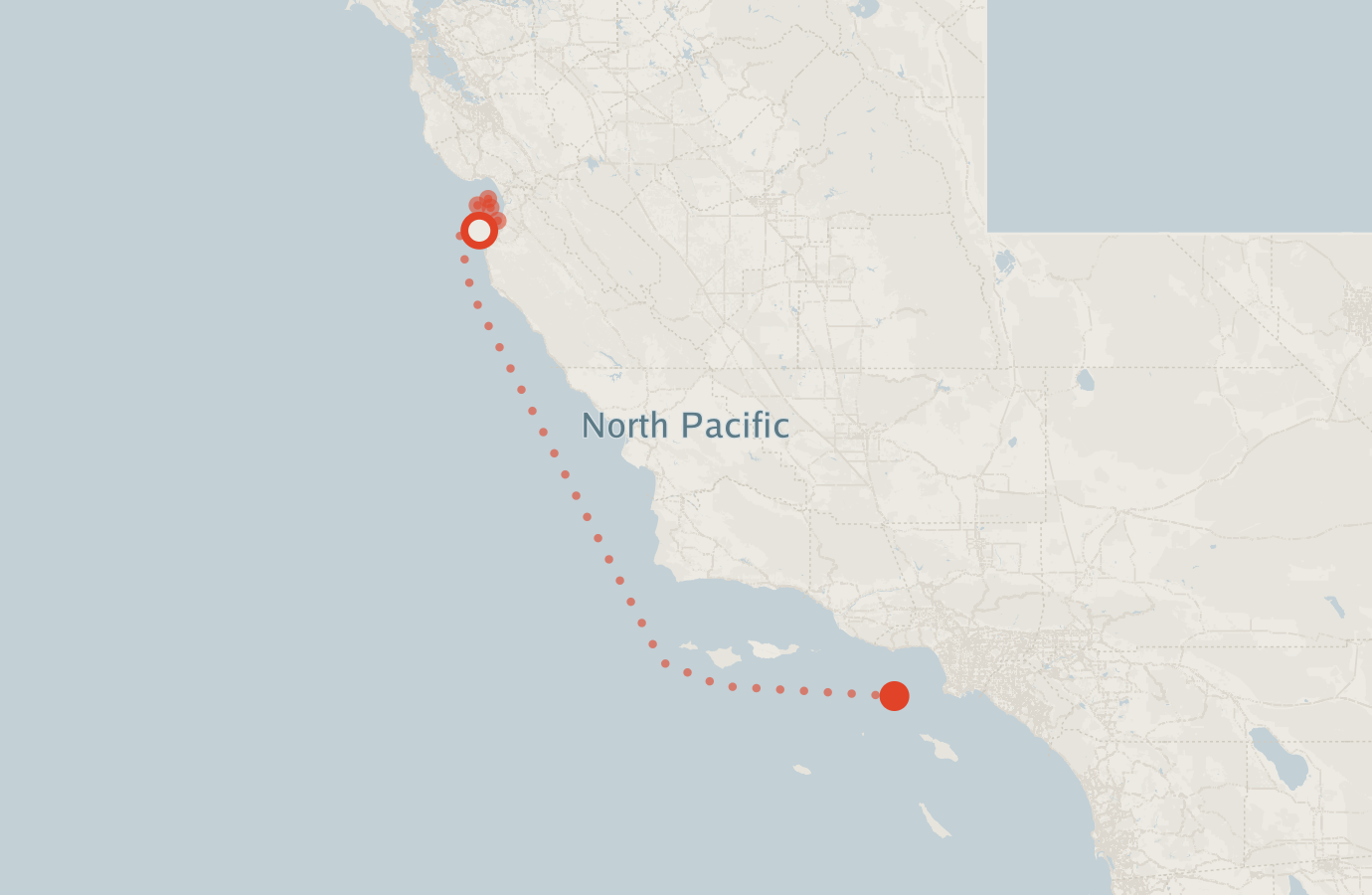 Activity map — real sighting points on an OpenStreetMap basemap