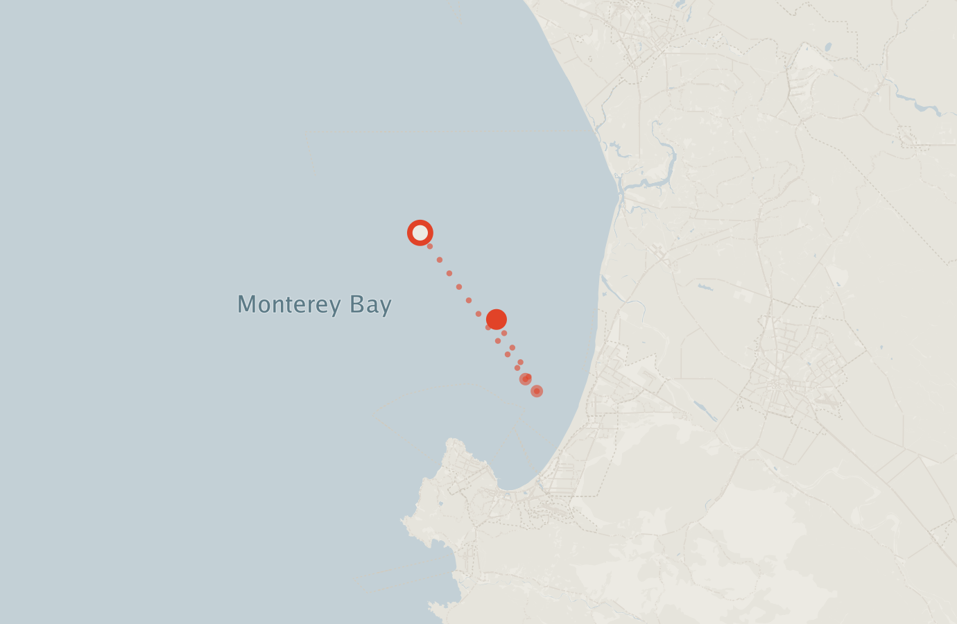 Activity map — real sighting points on an OpenStreetMap basemap