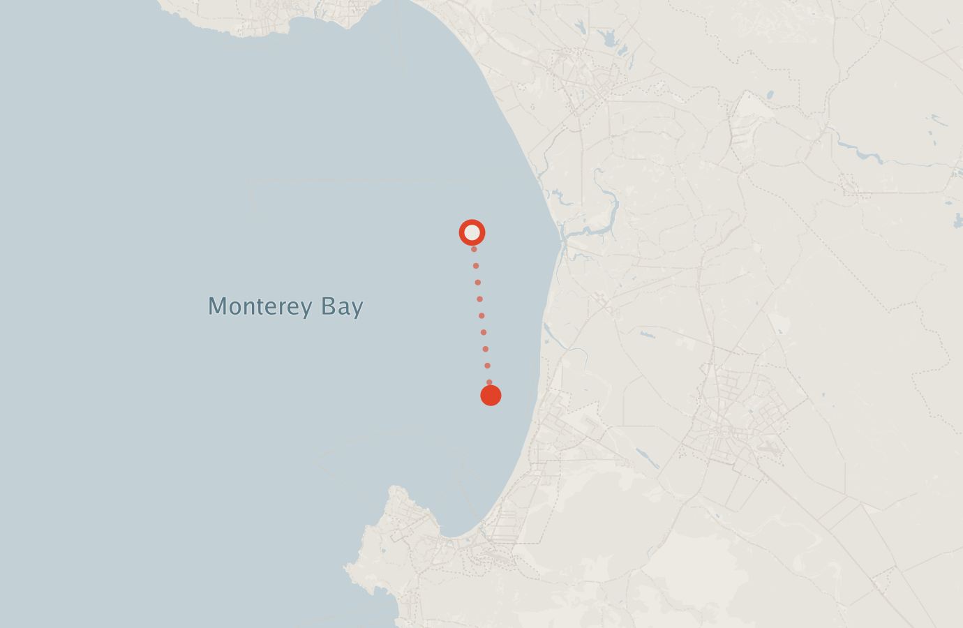 Activity map — real sighting points on an OpenStreetMap basemap