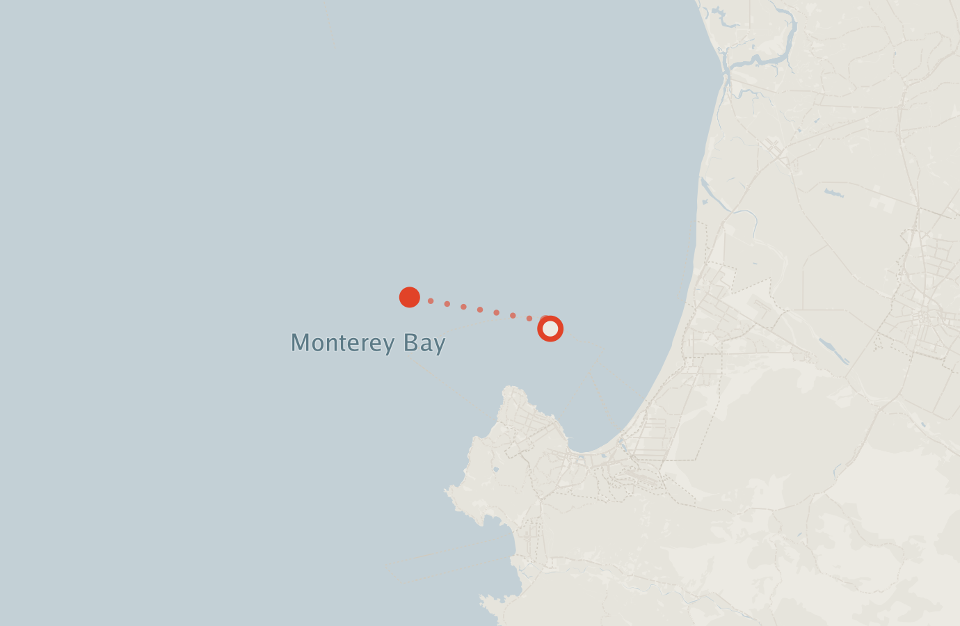 Activity map — real sighting points on an OpenStreetMap basemap