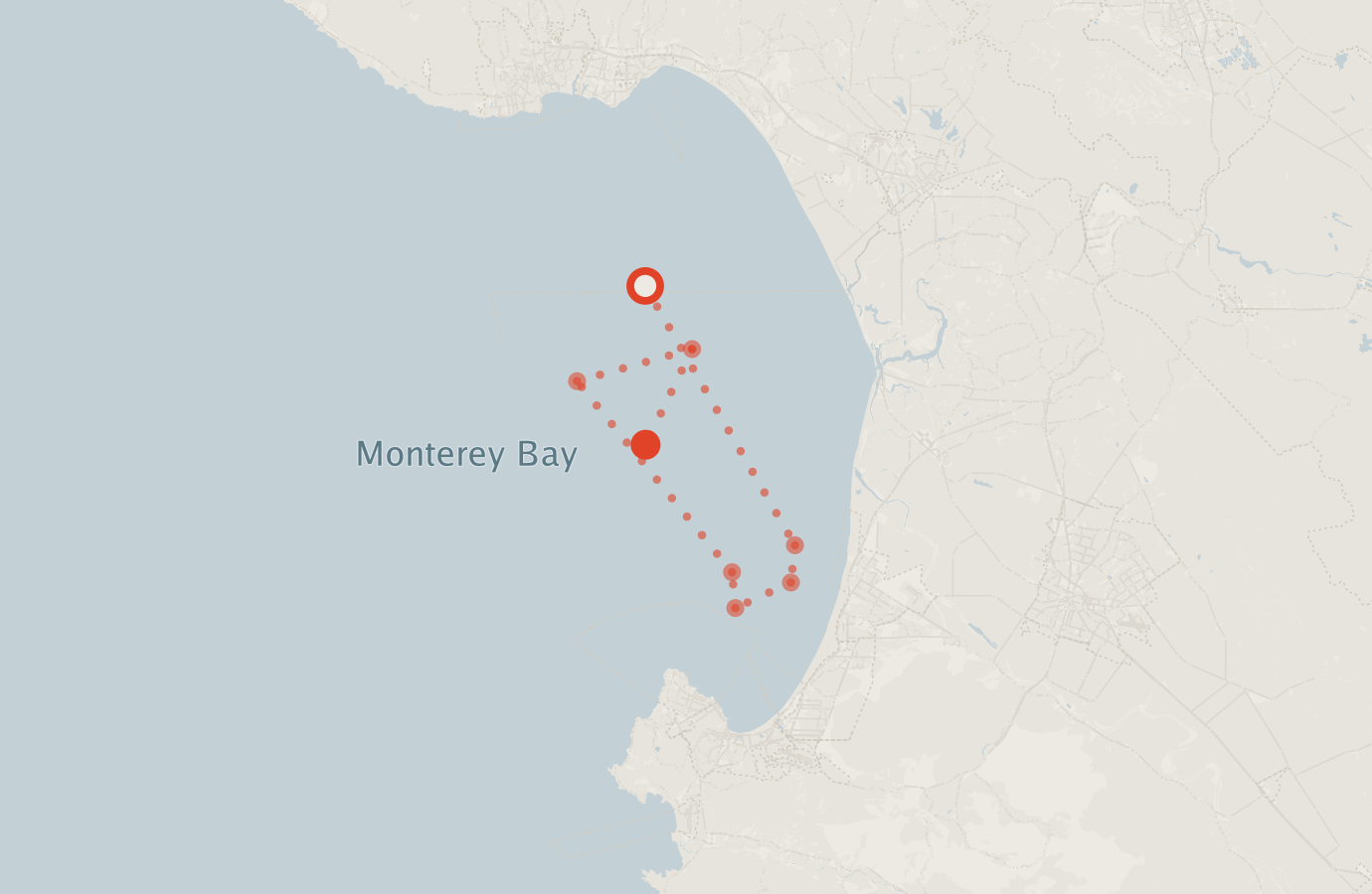 Activity map — real sighting points on an OpenStreetMap basemap