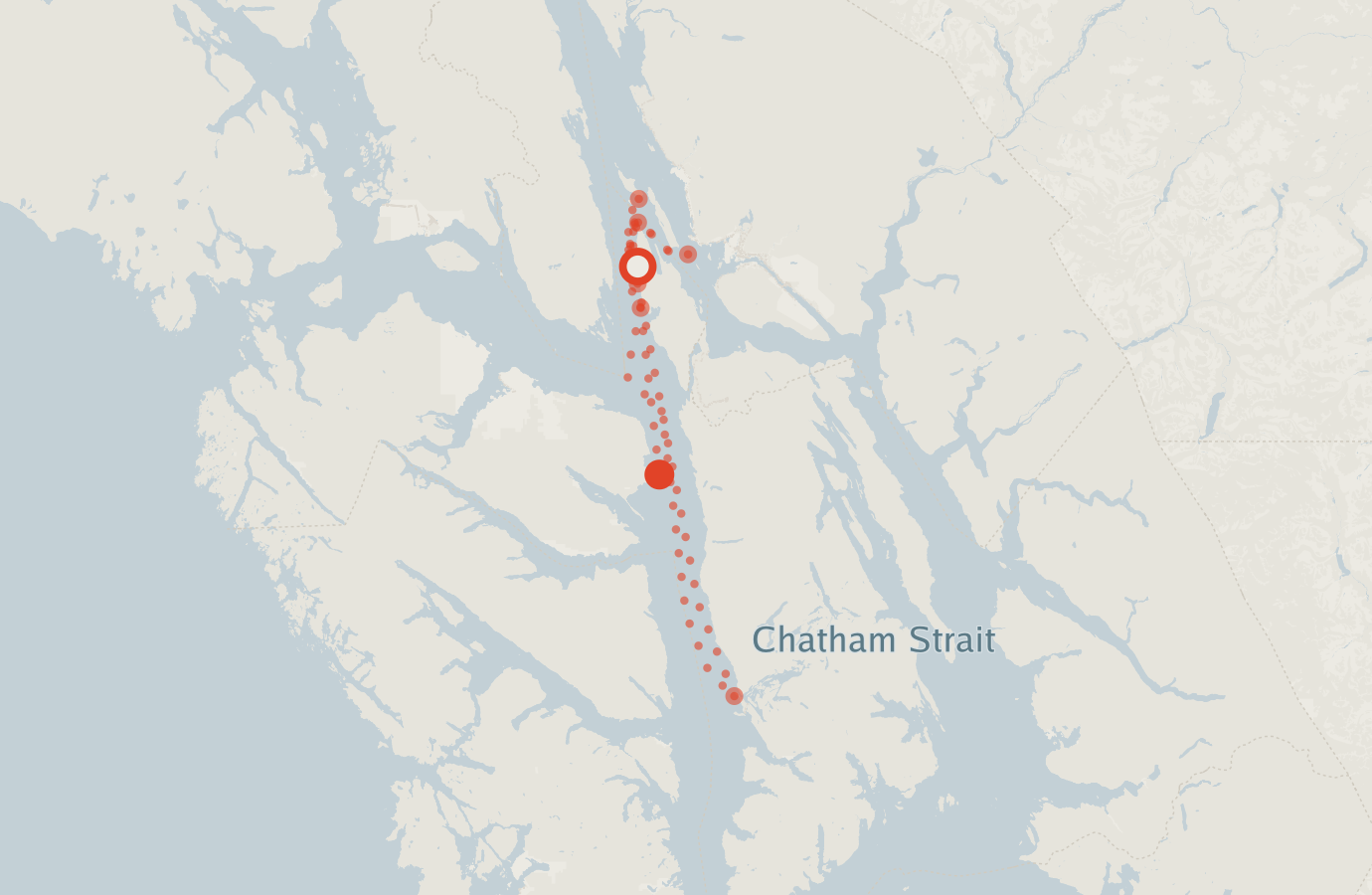 Activity map — real sighting points on an OpenStreetMap basemap