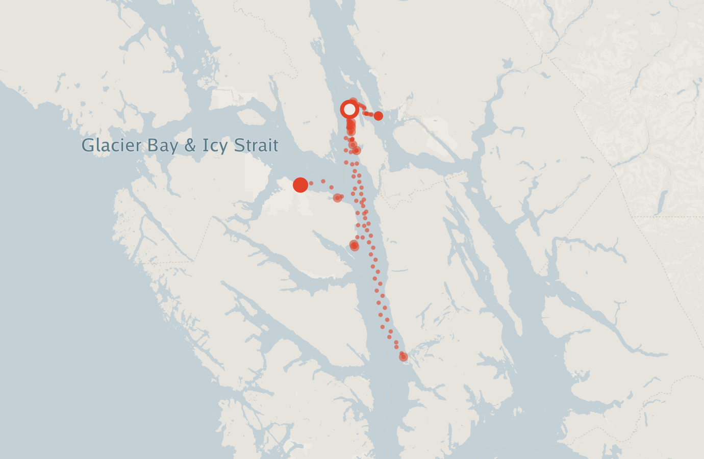 Activity map — real sighting points on an OpenStreetMap basemap