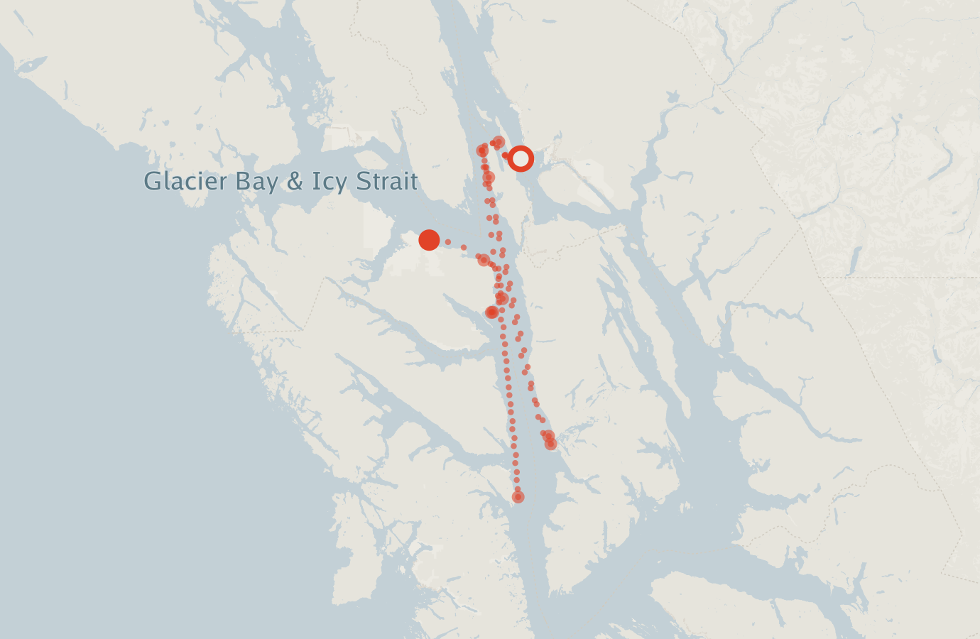 Activity map — real sighting points on an OpenStreetMap basemap