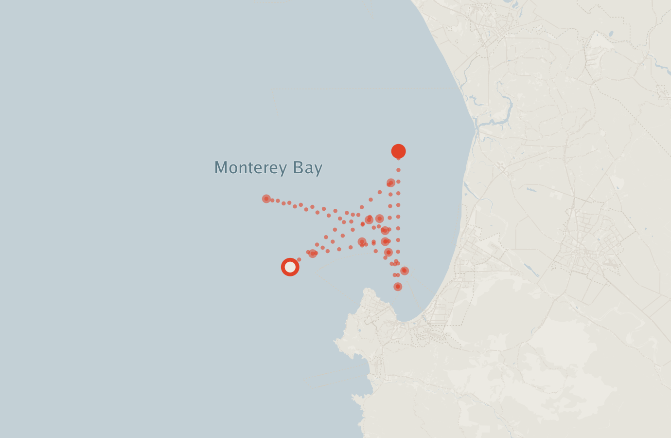 Activity map — real sighting points on an OpenStreetMap basemap