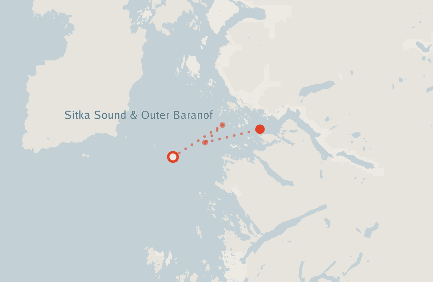 Activity map — real sighting points on an OpenStreetMap basemap