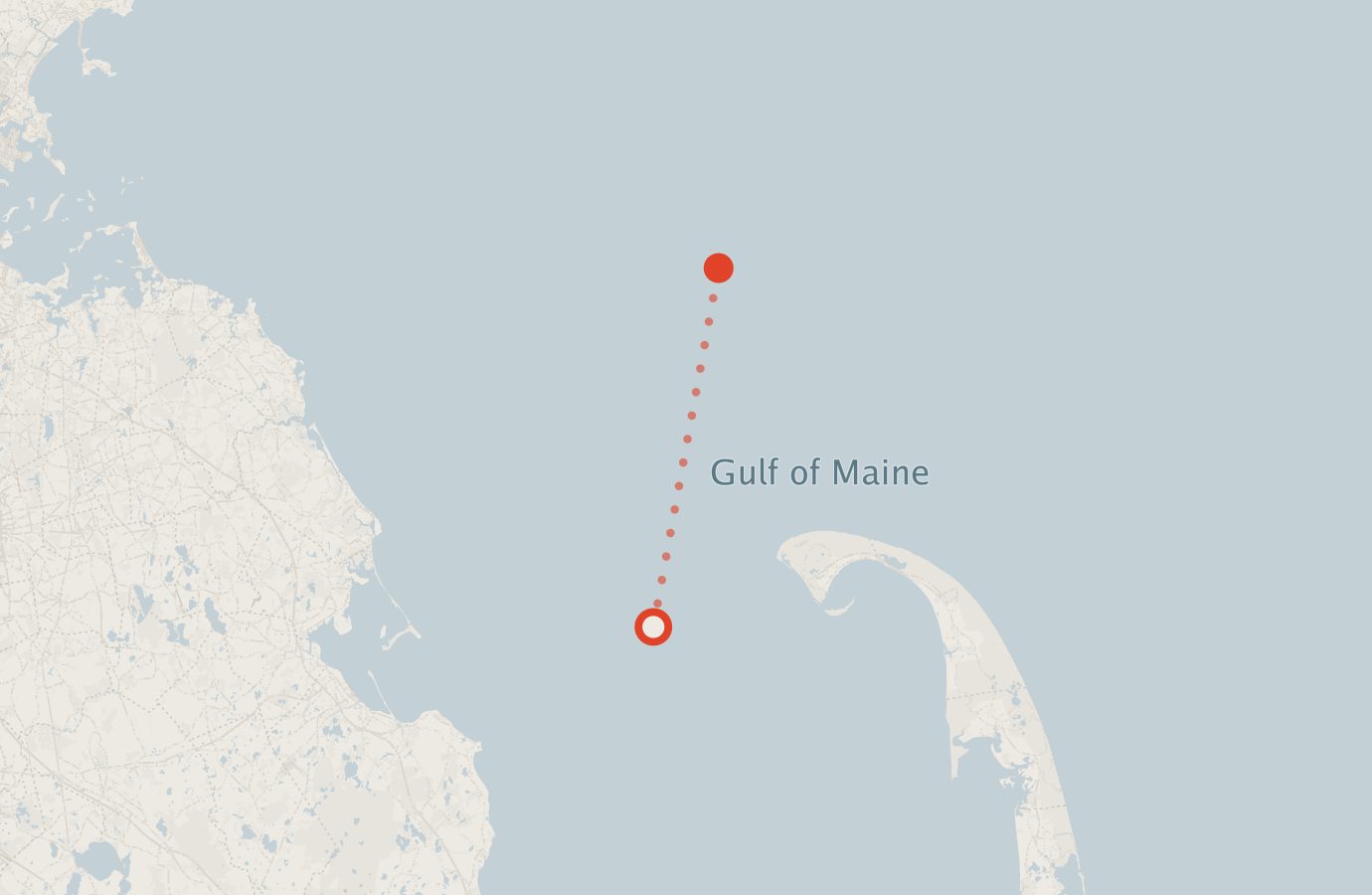 Activity map — real sighting points on an OpenStreetMap basemap