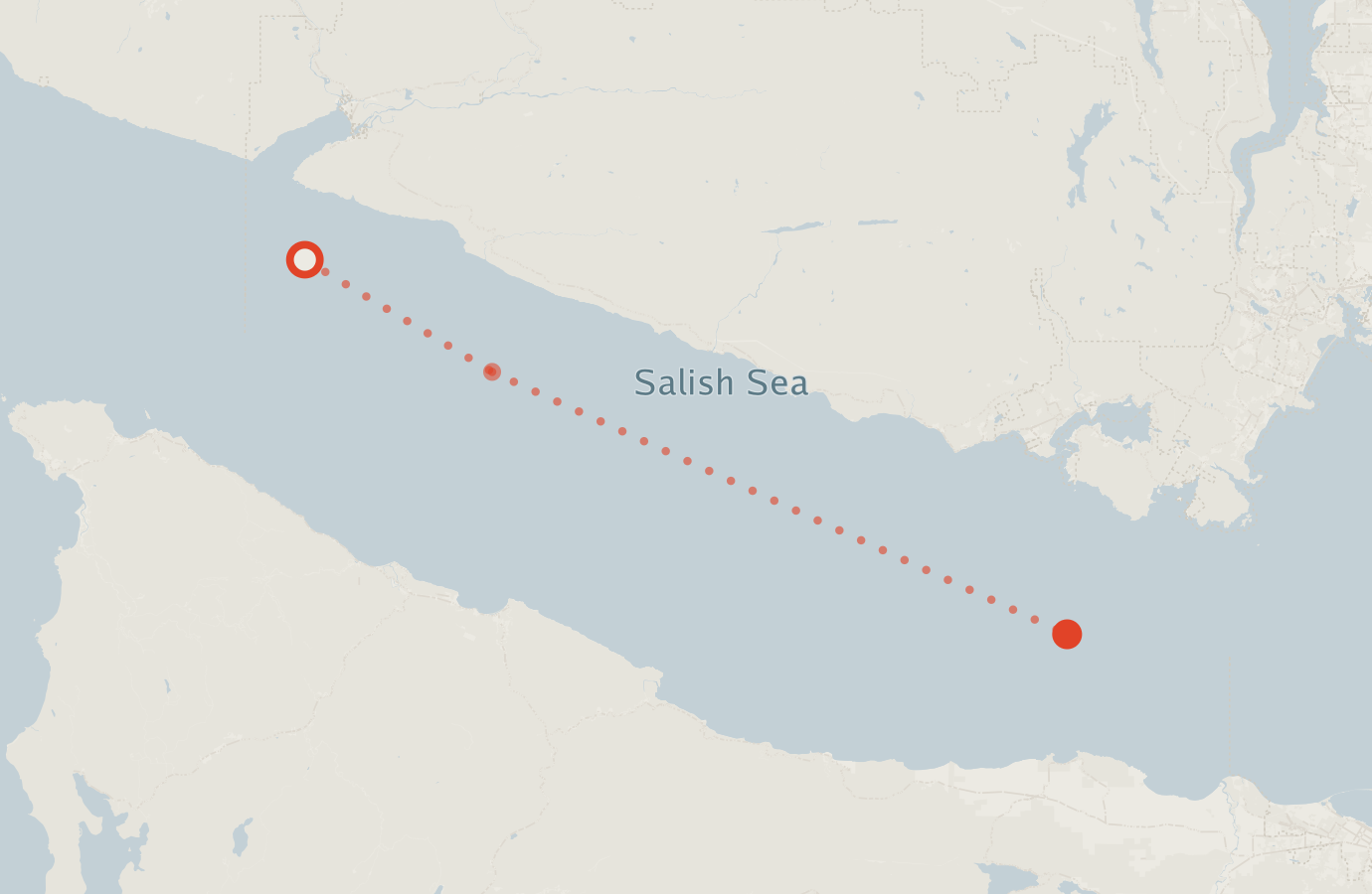 Activity map — real sighting points on an OpenStreetMap basemap