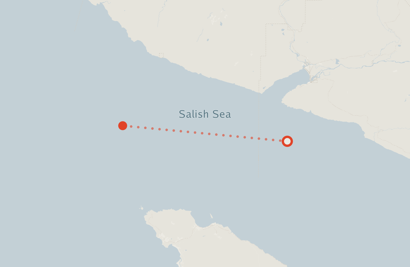 Activity map — real sighting points on an OpenStreetMap basemap
