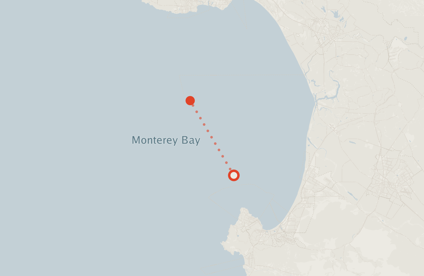 Activity map — real sighting points on an OpenStreetMap basemap