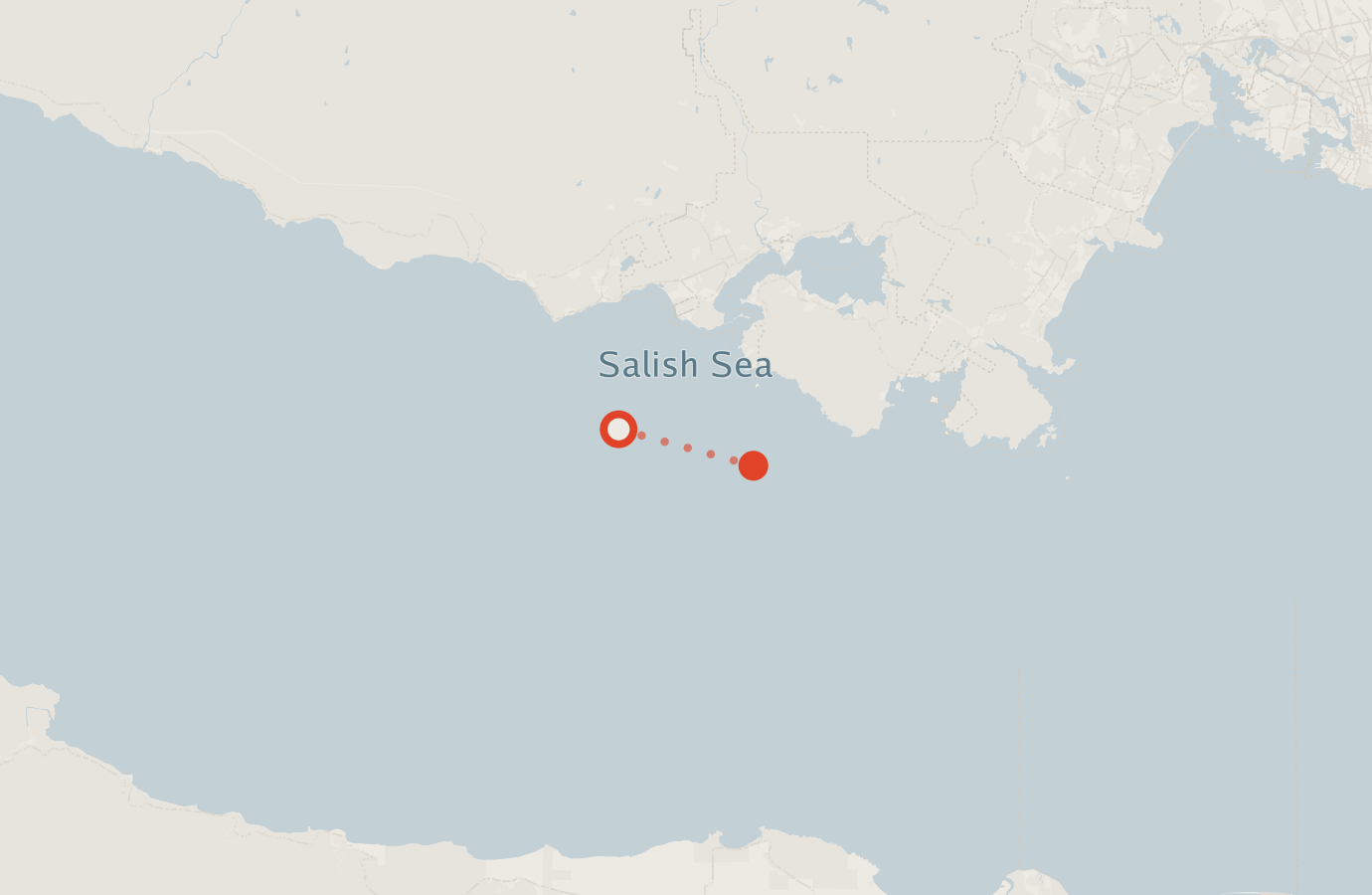 Activity map — real sighting points on an OpenStreetMap basemap