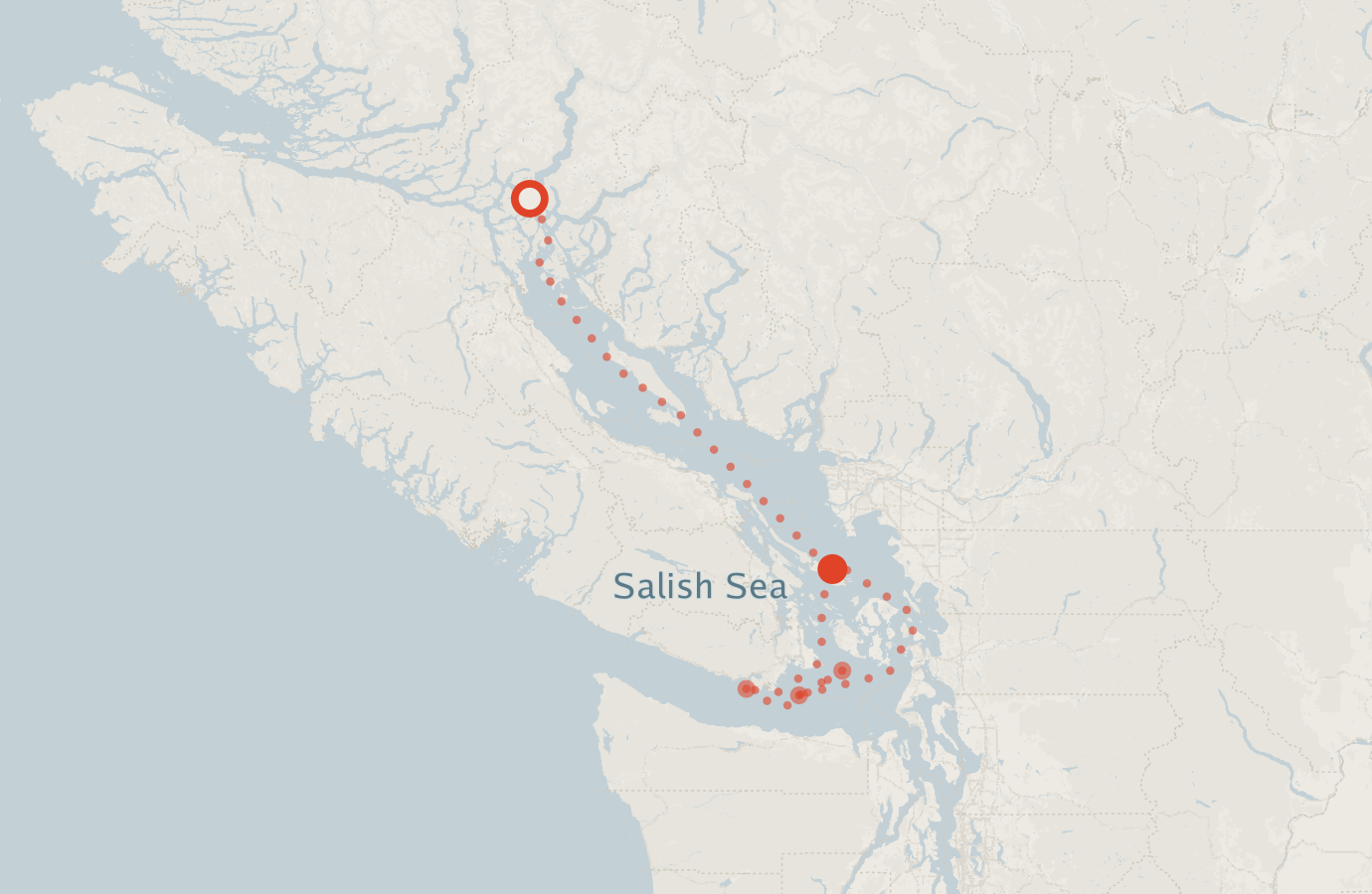 Activity map — real sighting points on an OpenStreetMap basemap