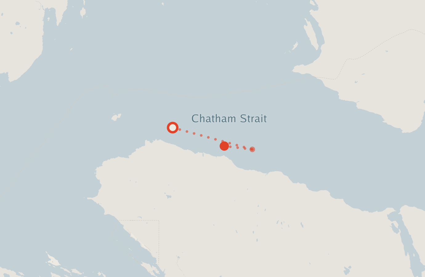 Activity map — real sighting points on an OpenStreetMap basemap