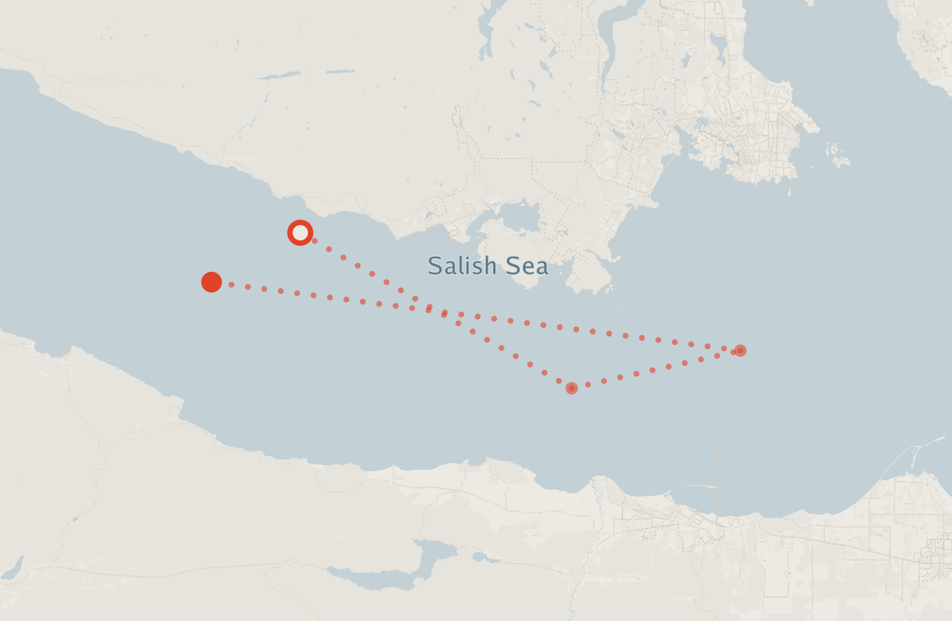 Activity map — real sighting points on an OpenStreetMap basemap