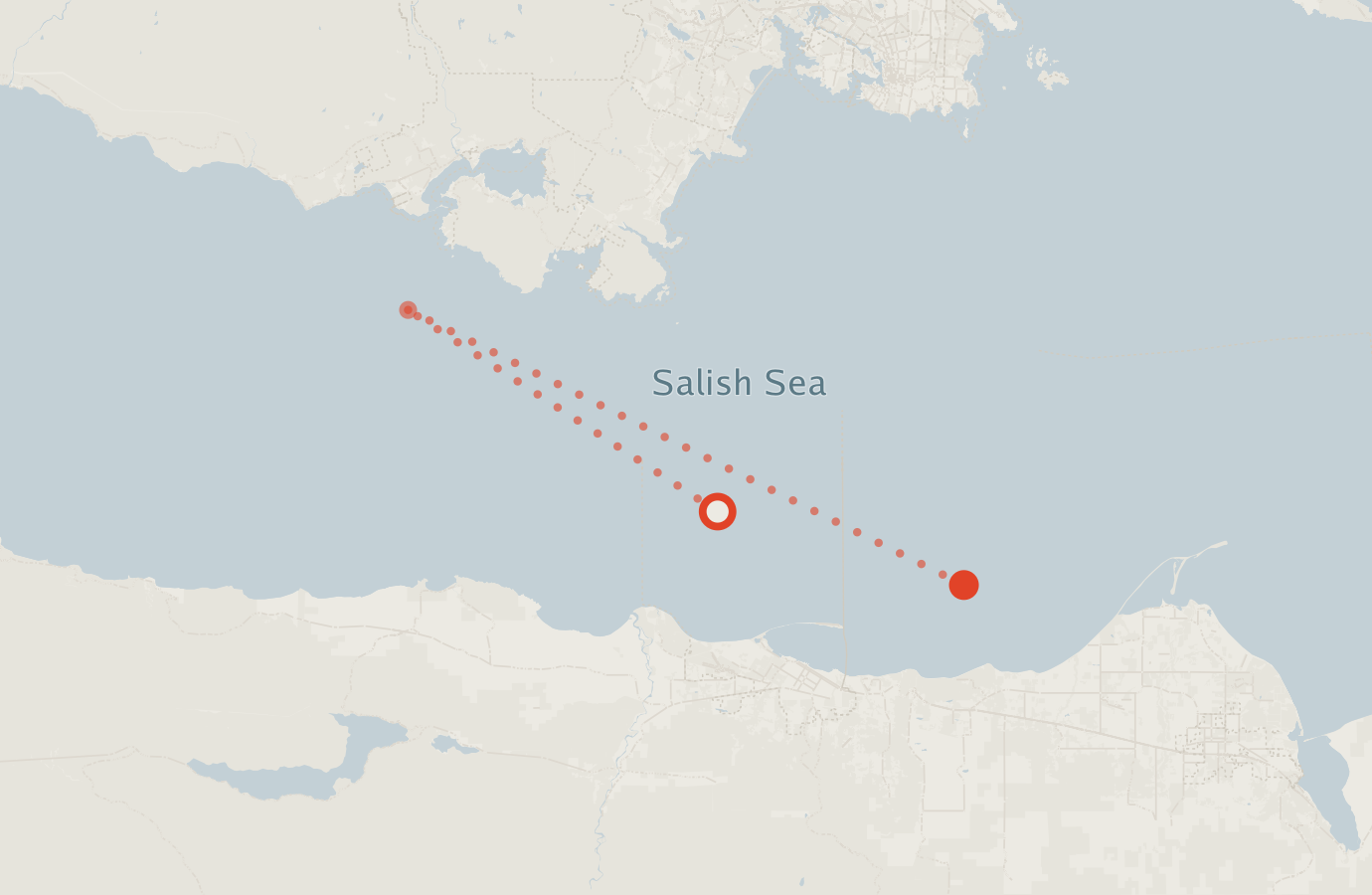Activity map — real sighting points on an OpenStreetMap basemap