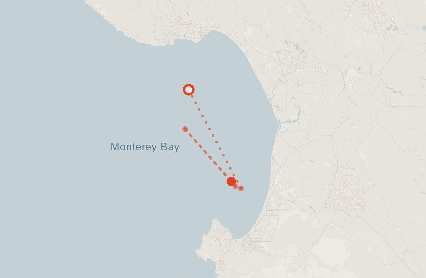 Activity map — real sighting points on an OpenStreetMap basemap