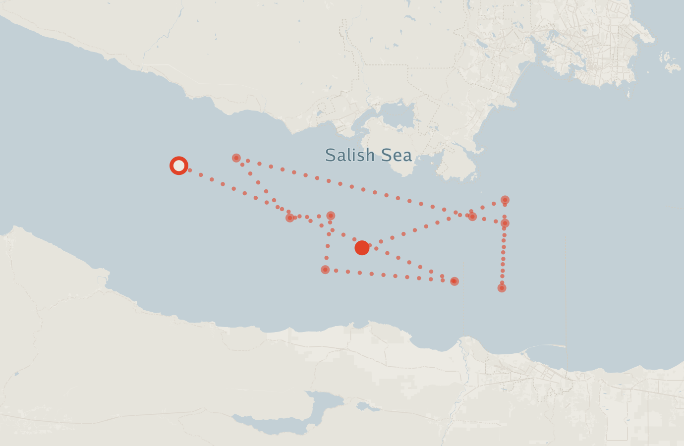 Activity map — real sighting points on an OpenStreetMap basemap