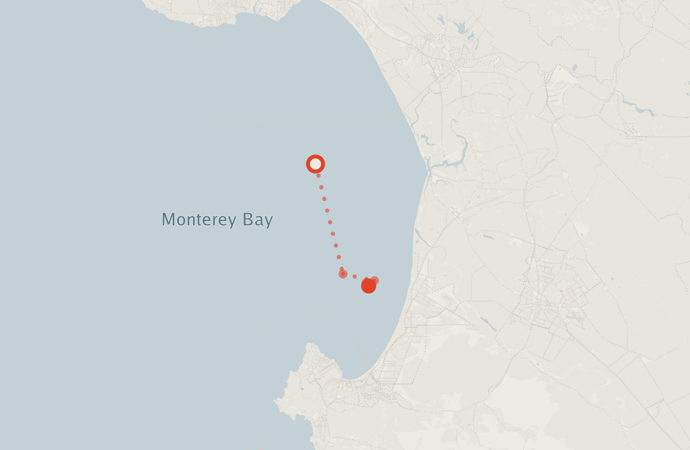 Activity map — real sighting points on an OpenStreetMap basemap