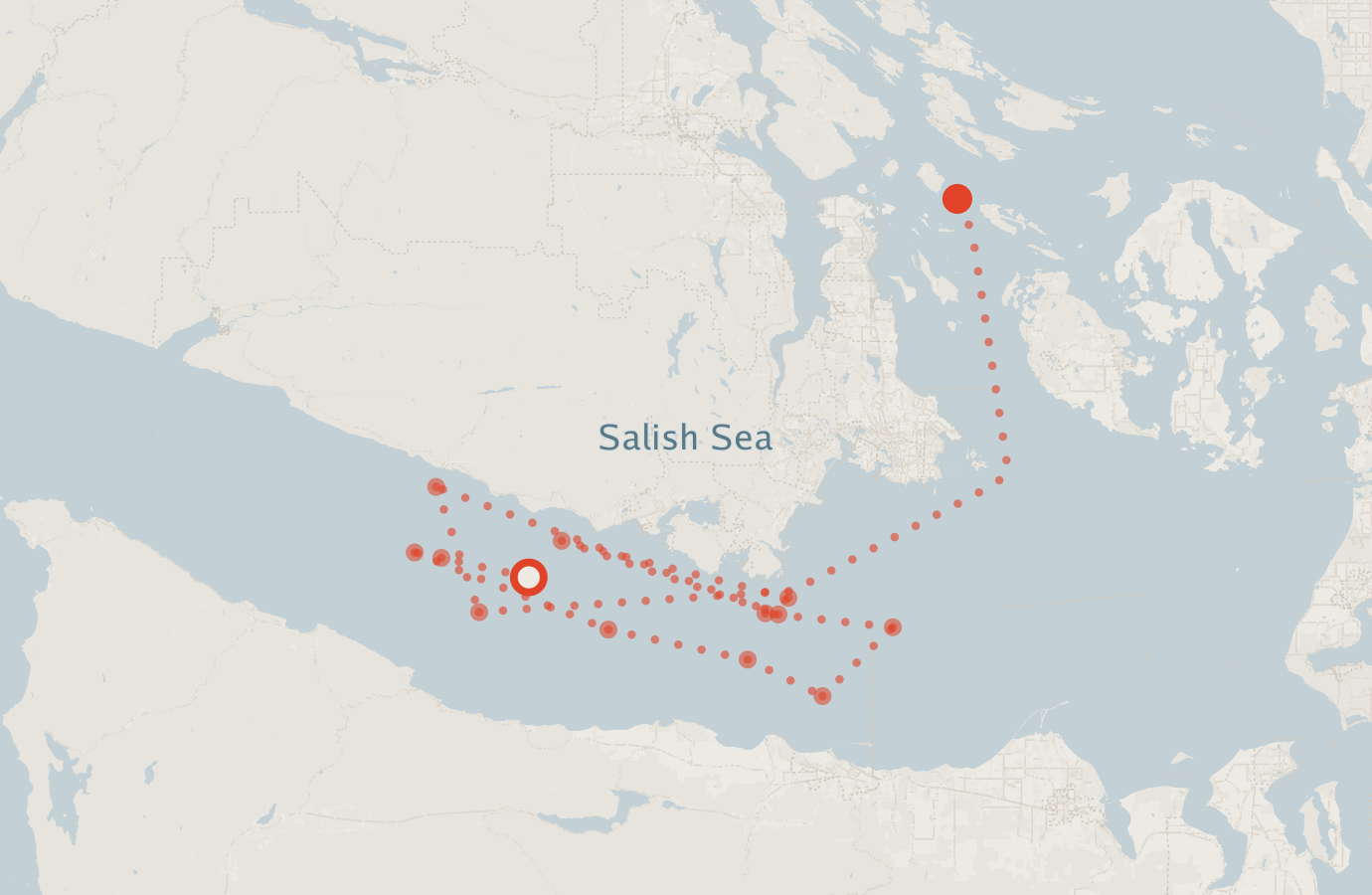 Activity map — real sighting points on an OpenStreetMap basemap