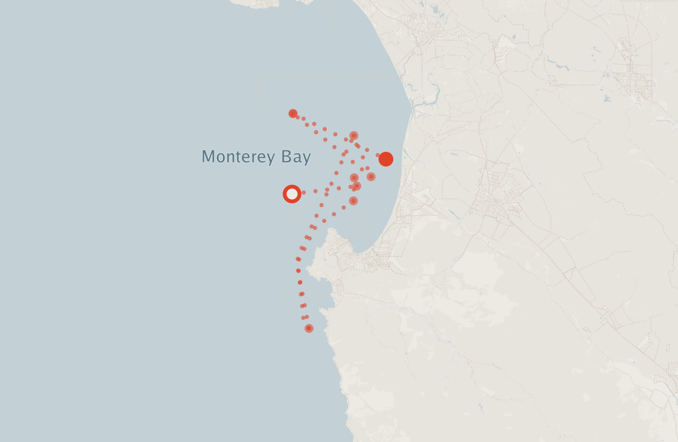Activity map — real sighting points on an OpenStreetMap basemap