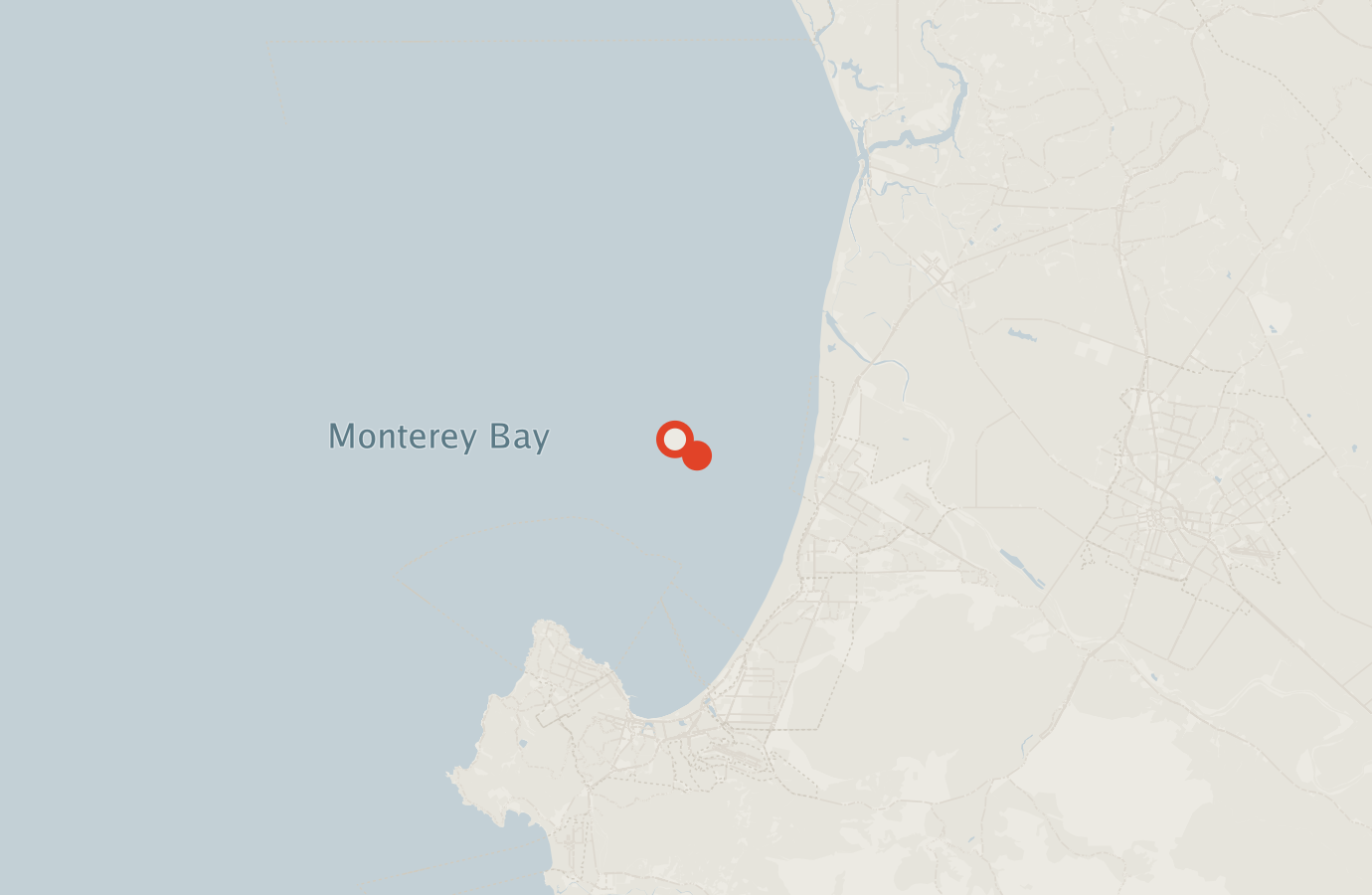 Activity map — real sighting points on an OpenStreetMap basemap