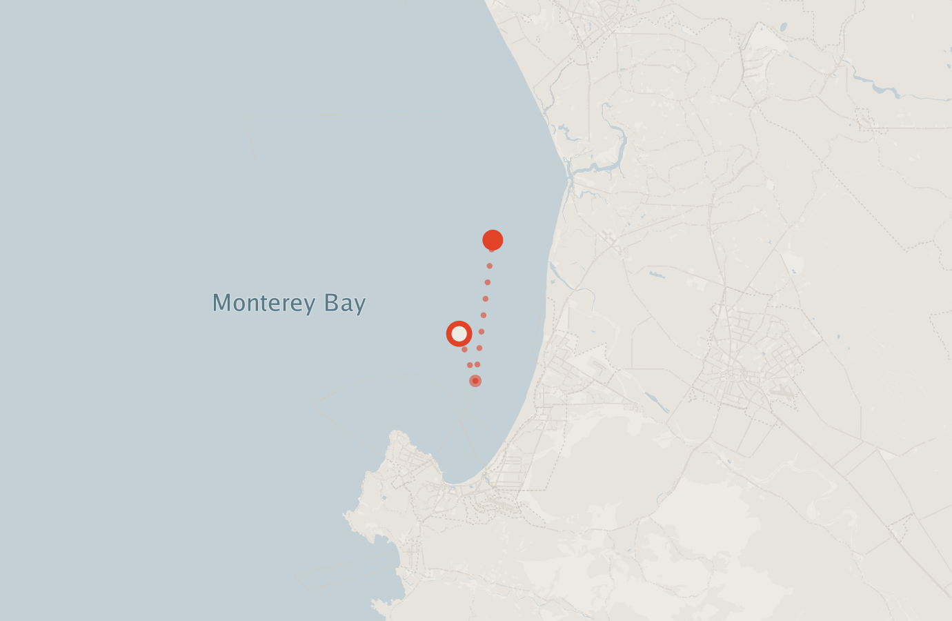 Activity map — real sighting points on an OpenStreetMap basemap