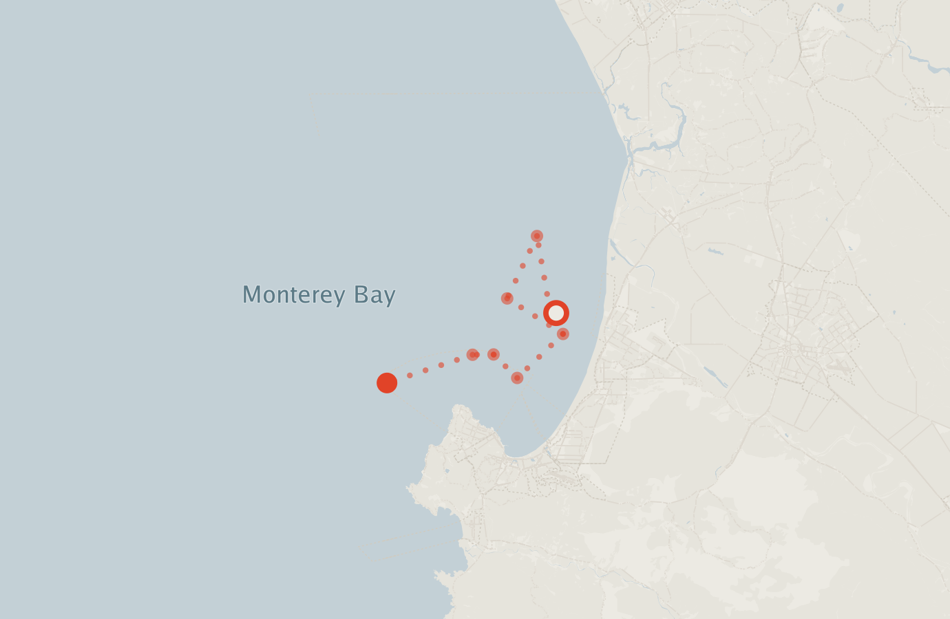 Activity map — real sighting points on an OpenStreetMap basemap