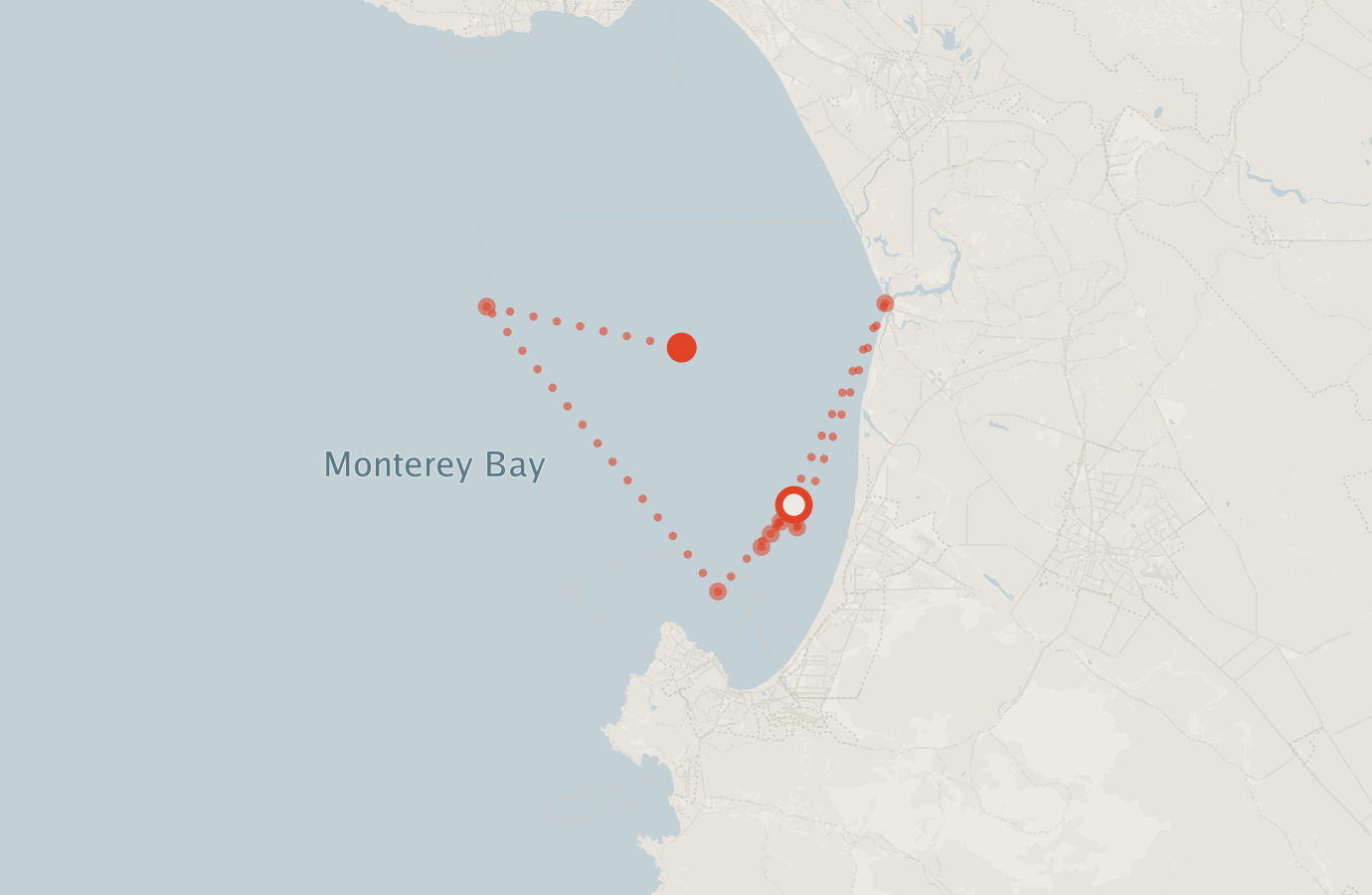 Activity map — real sighting points on an OpenStreetMap basemap