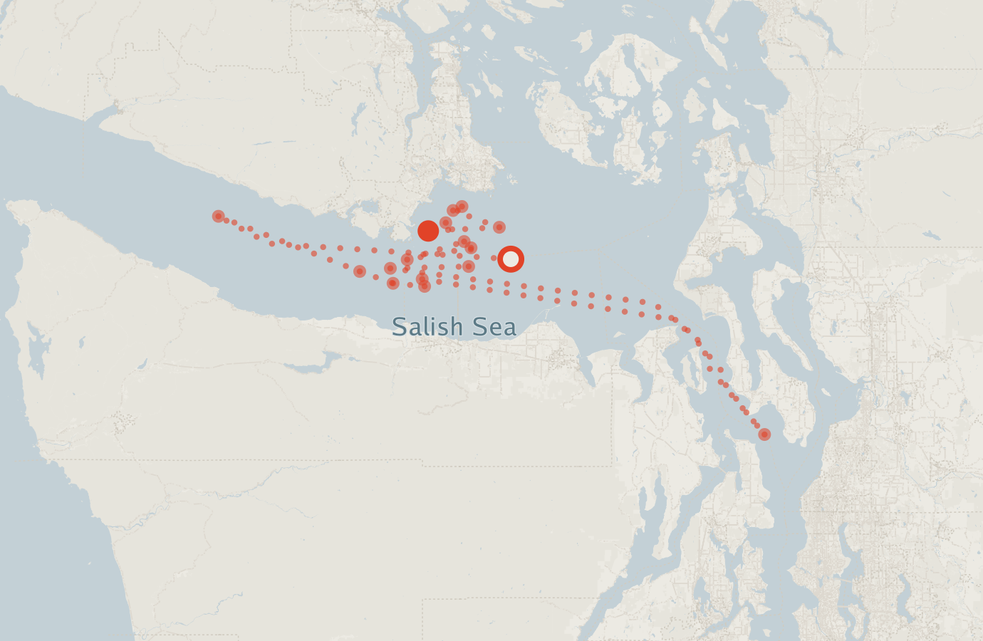 Activity map — real sighting points on an OpenStreetMap basemap