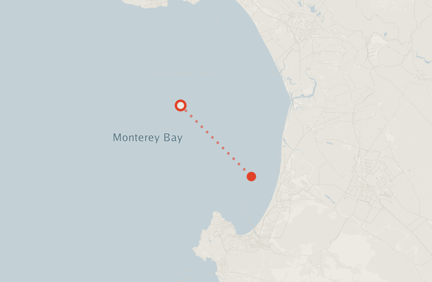 Activity map — real sighting points on an OpenStreetMap basemap