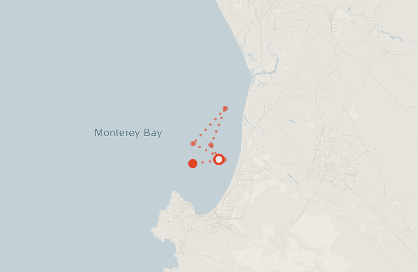 Activity map — real sighting points on an OpenStreetMap basemap