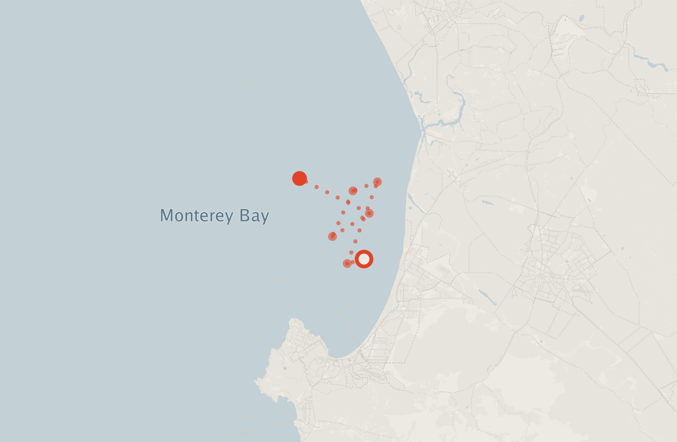 Activity map — real sighting points on an OpenStreetMap basemap
